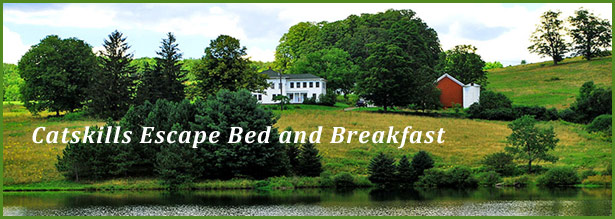 Catskills Escape Bed and Breakfast