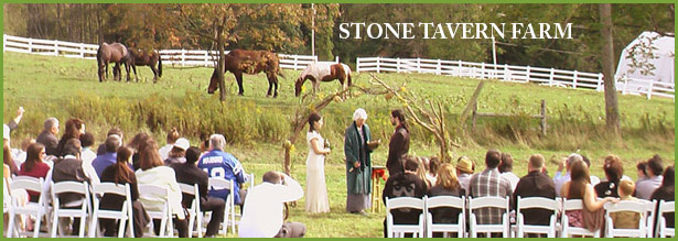 Stone Tavern Farm